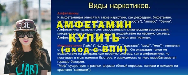прущие грибы Дмитров