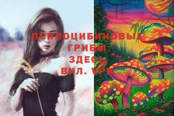 COCAINE Армянск